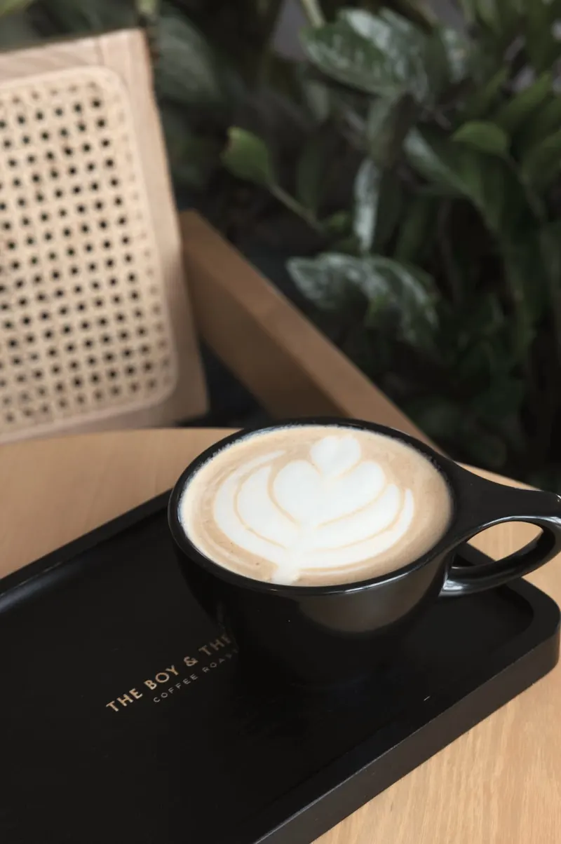 The Boy & The Bear - Coffee Roastery in Westchester, Los Angeles