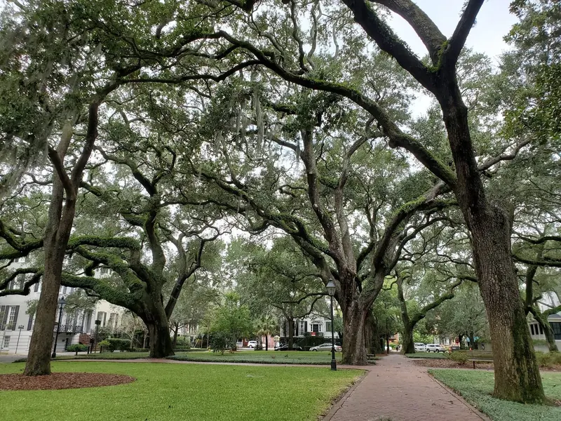 Savannah Historic District Squares in Savannah