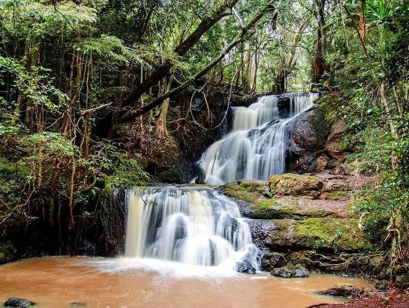 Karura Forest in Nairobi