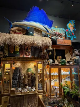 Ballyhoo Curiosity Shop