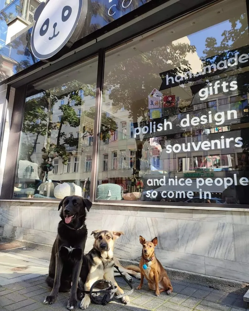 Panda Concept Store