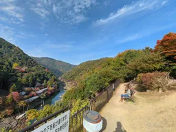 Arashiyama Bamboo Forest