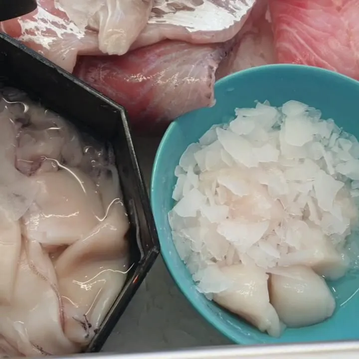 ELIFISCH Speising