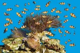 Barcelona Aquarium