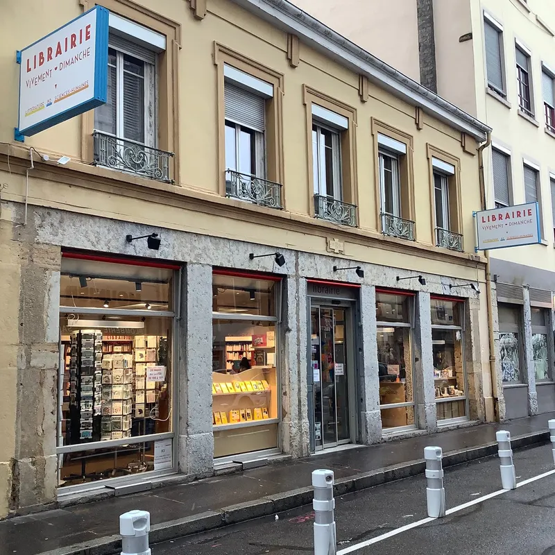 L'Aînée - Librairie Vivement Dimanche in 4th Arrondissement, Lyon