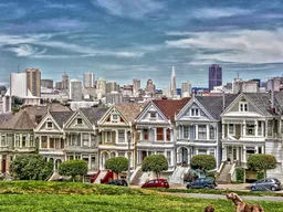 Painted Ladies and Alamo Square