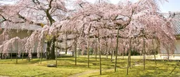 Daigo-ji