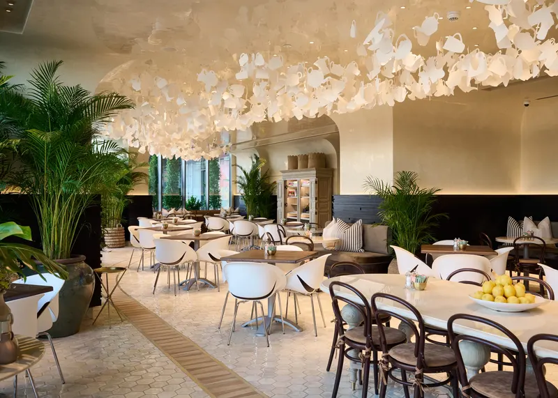 tashas Mirdif in Mirdif, Dubai
