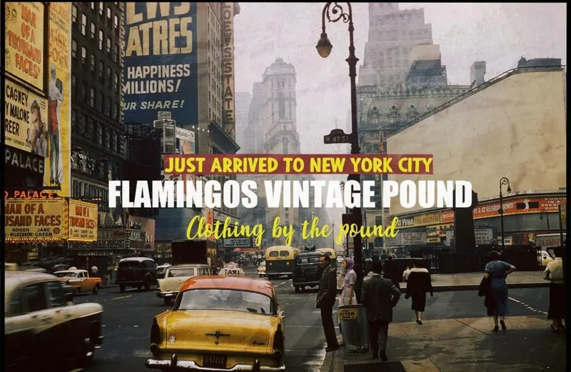 Flamingos Vintage Pound