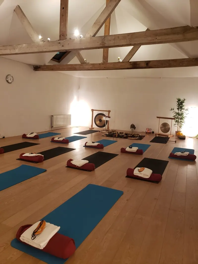 Yogalife Studio and Teacher Training - Brussels