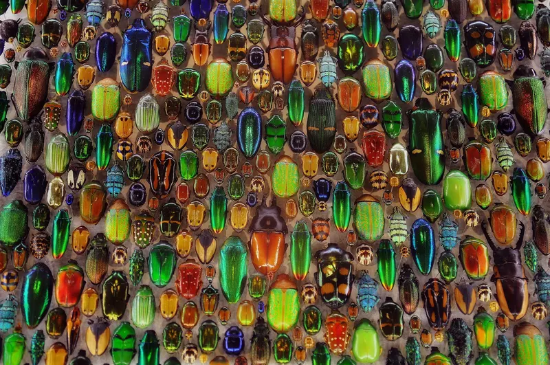 Insectarium in Rosemont–La Petite-Patrie, Montreal