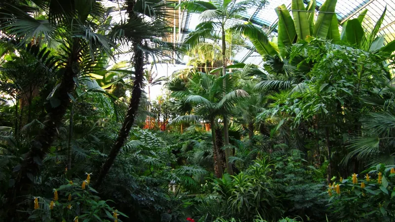 Palmengarten in Frankfurt