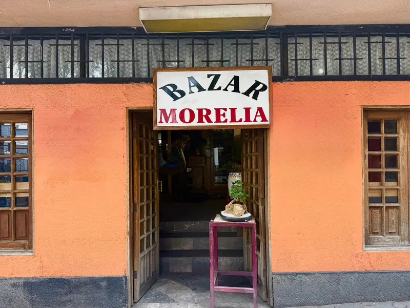 Villa Bonsai / Bazar Morelia in Tlalpan, Mexico City