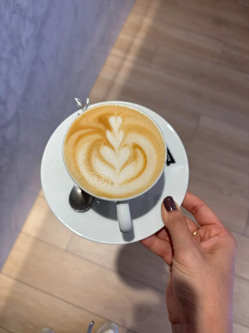 Vibracafe in la Petxina, Valencia
