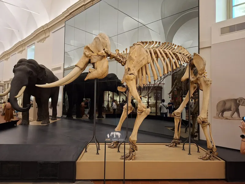 Museo Regionale di Scienze Naturali in Centro, Turin