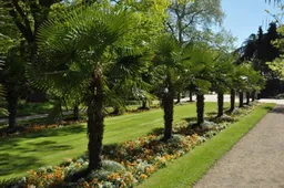 Flora and Botanical Garden