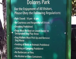 Mission Dolores Park