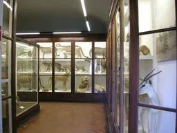Oltrarno-San Frediano