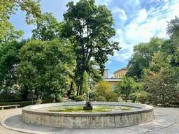 Botanical Garden of Florence