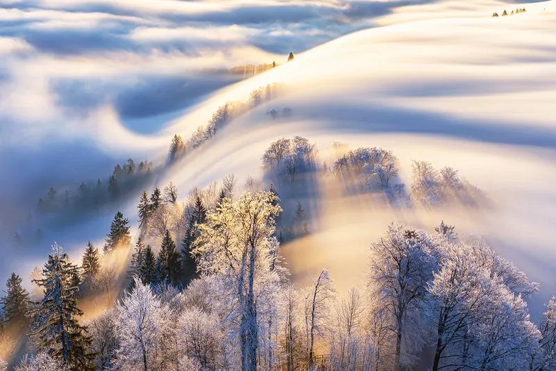 Uetliberg in Zurich