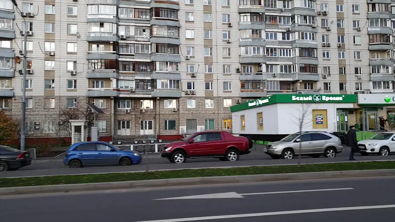 Belyy Krolik in Ramenki, Moscow