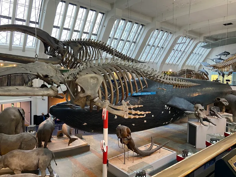 Natural History Museum in London