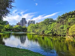 Daan Forest Park