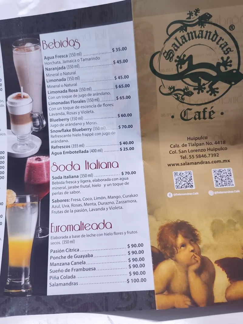 Salamandras Café in Tlalpan, Mexico City