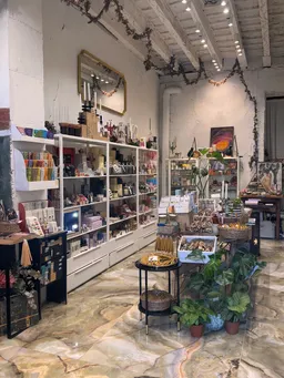 Antevasin's Store