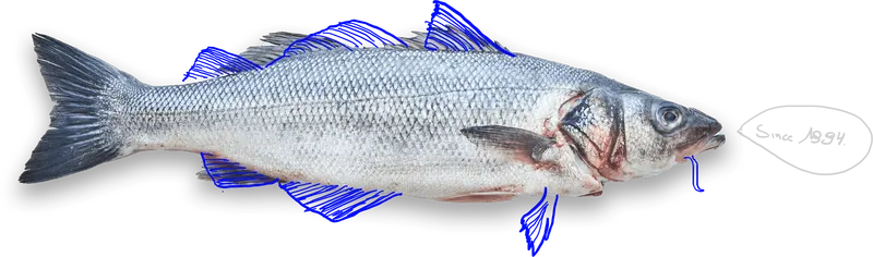 Mer du Nord