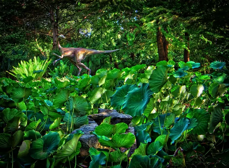 Zilker Botanical Garden in Austin