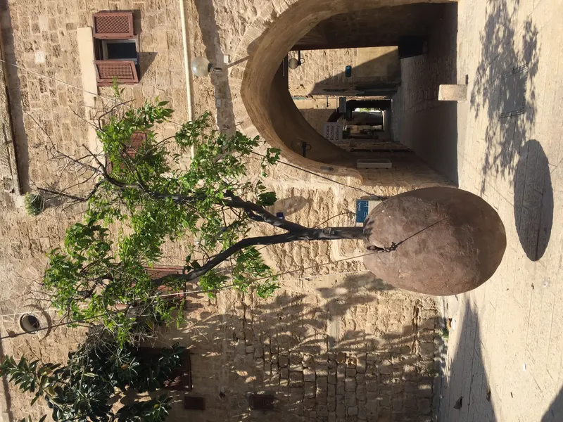 Suspended Orange Tree