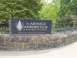 Arnold Arboretum