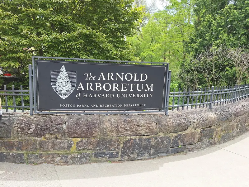 Arnold Arboretum
