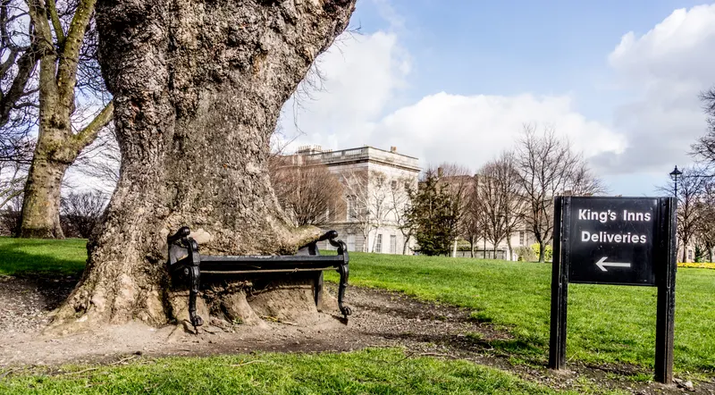 The Hungry Tree
