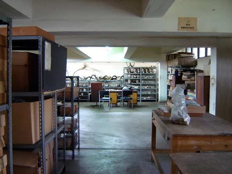 Nairobi National Museum in Nairobi