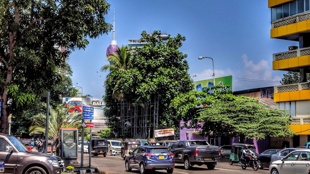 Suduwella in Colombo