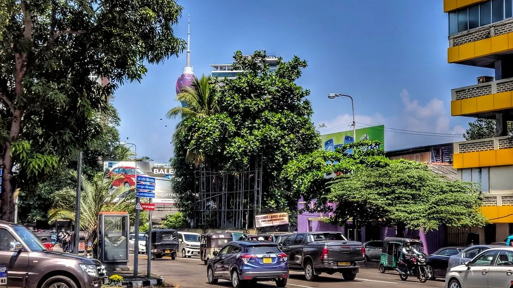 Suduwella in Colombo