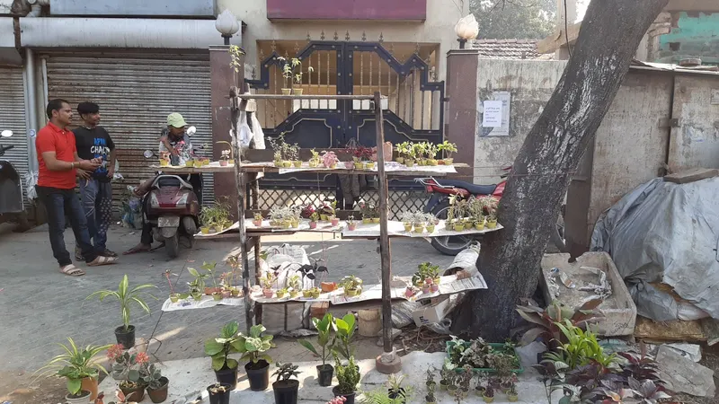 Sunday Pet Market in Jorasanko, Kolkata