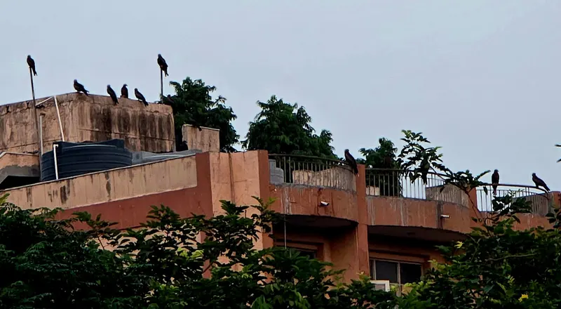 Kailash Colony Market in East Delhi, Delhi