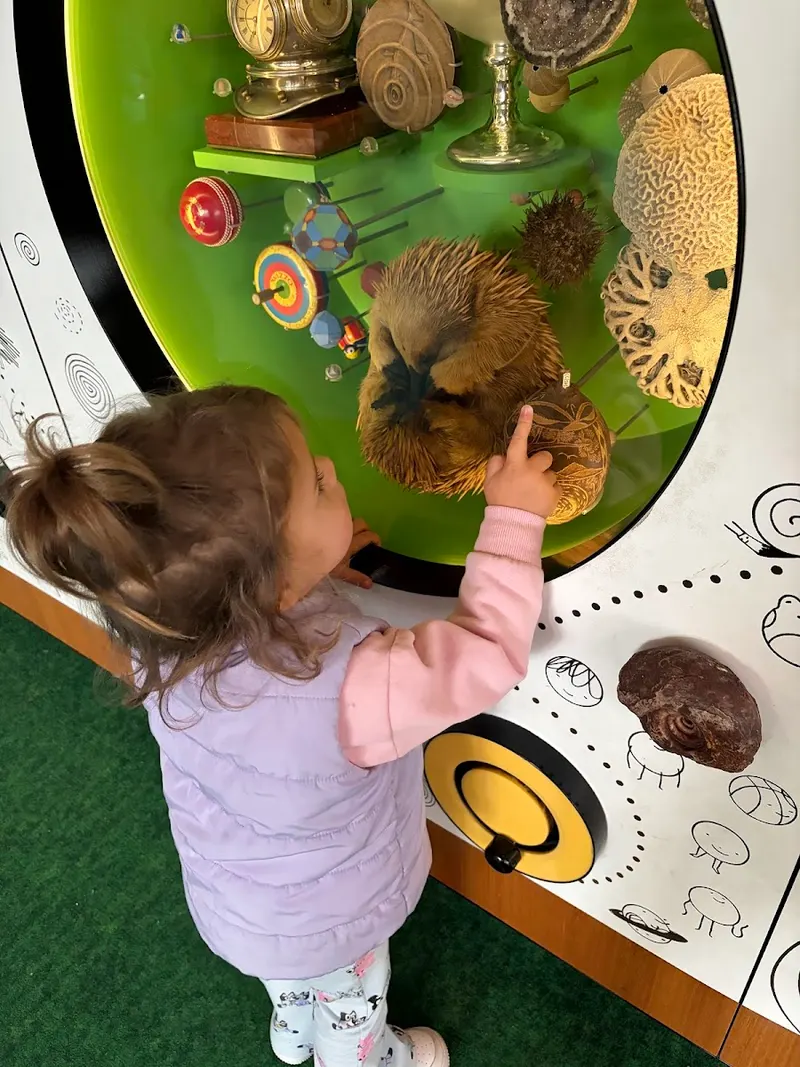 Museum Playground