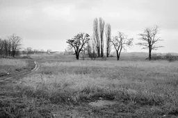Tempelhofer Feld