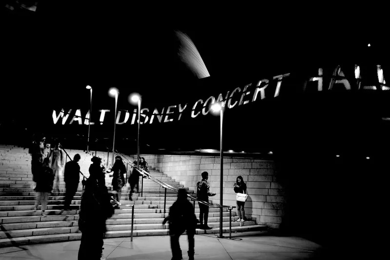 Walt Disney Concert Hall in Los Angeles