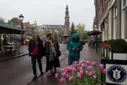 Amsterdam Tulip Museum