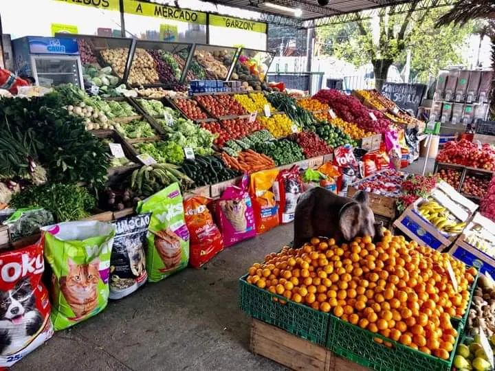 Mercado garzón Frutas y Verduras in Prado, Montevideo