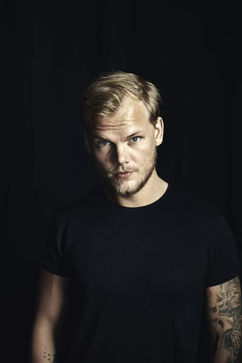 Avicii Experience