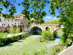 Pons Probi