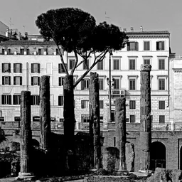 Largo di Torre Argentina