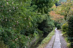 Tetsugaku No Michi