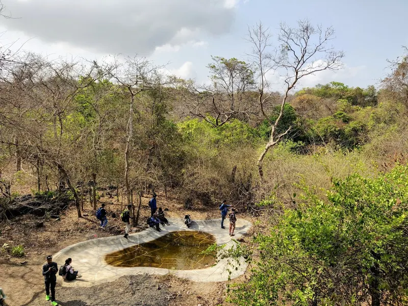 Sanjay Gandhi National Park